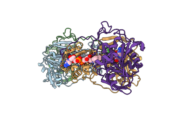 1EFP image