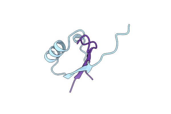1EGP image