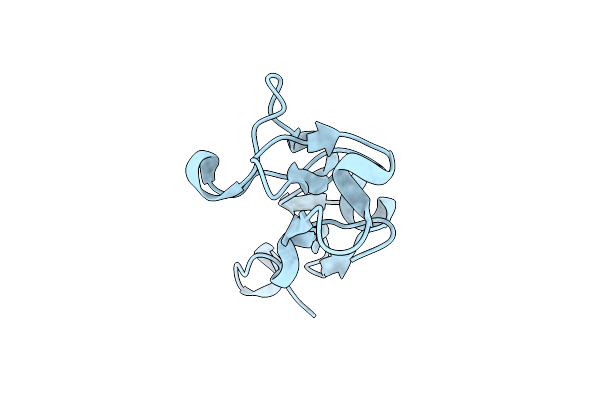 1EHD image