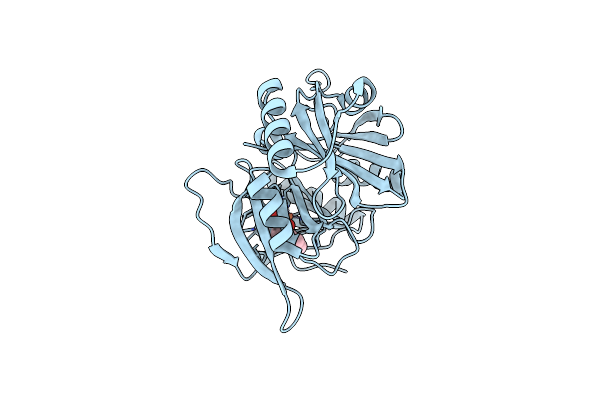 1EIR image