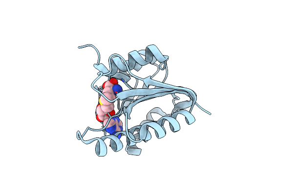 1EIZ image