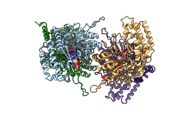 1EJI image