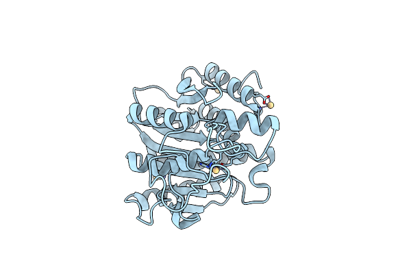 1ELL image