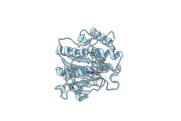 1ELM image