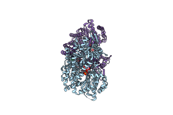 1EM6 image