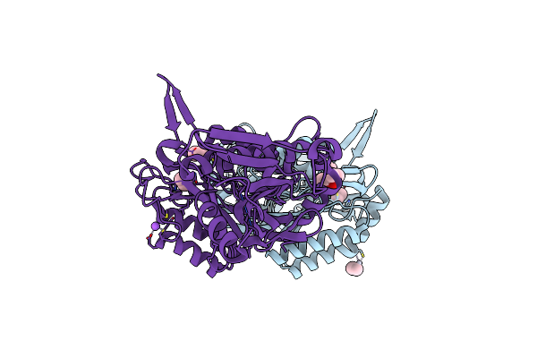 1EMS image
