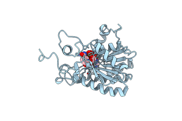 1ENP image