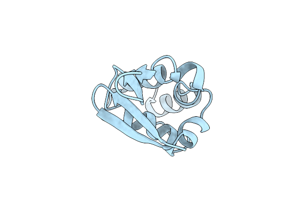 1EOE image
