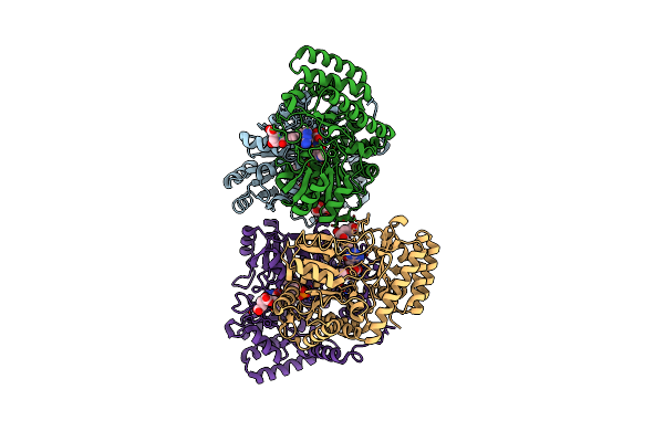 1EQB image