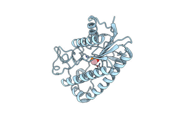 1ESD image
