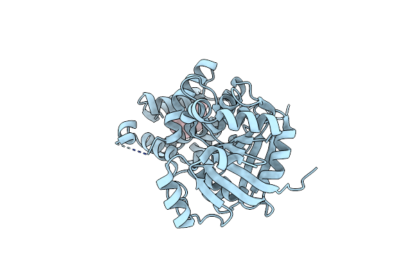 1EVY image