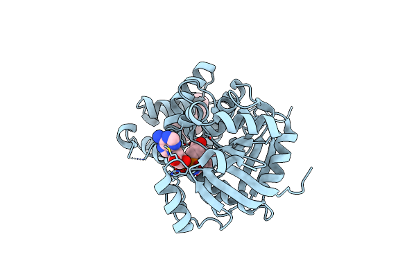 1EVZ image