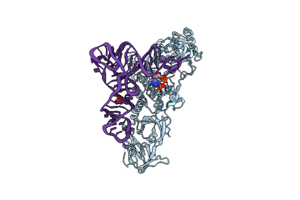 1EXD image