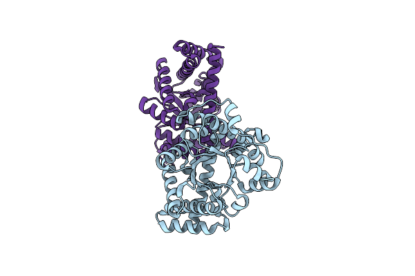 1F05 image