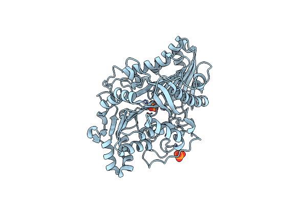 1F0I image