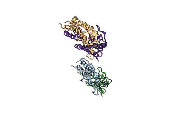 1F1M image