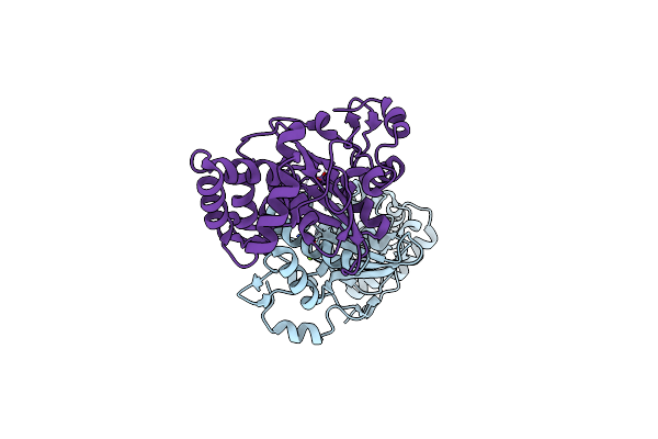1F1Z image