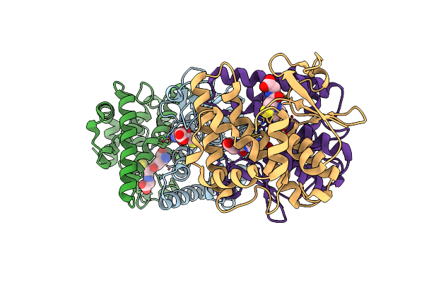 1F2E image