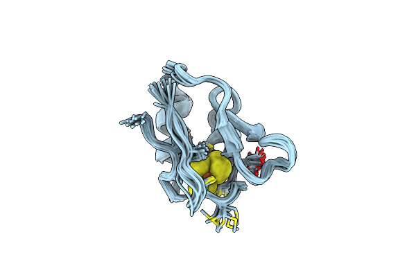 1F2G image
