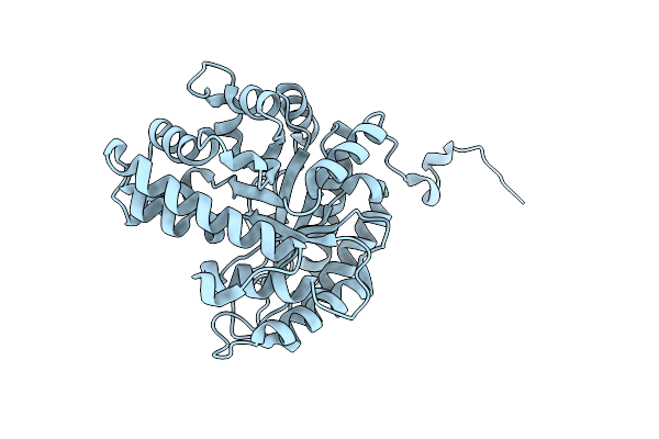 1F2J image