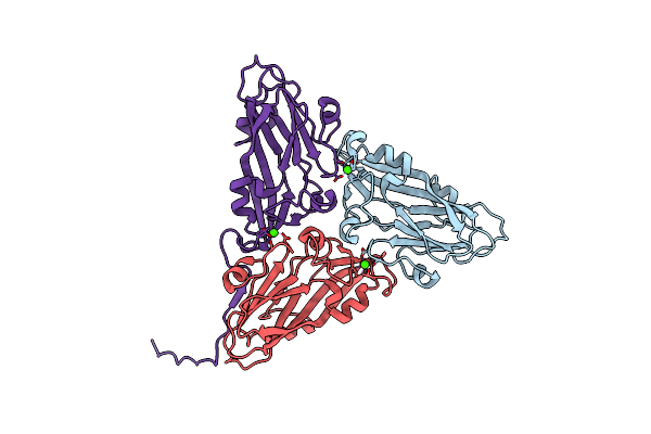 1F2N image