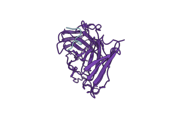 1F3R image
