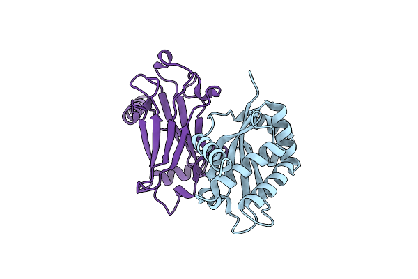 1F3V image