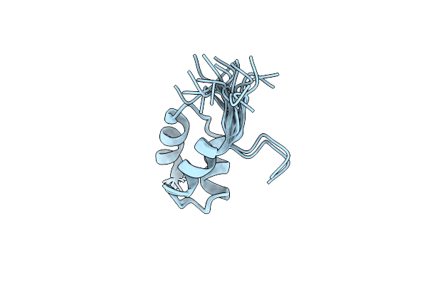 1F4I image