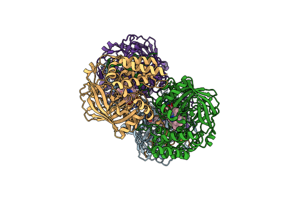 1F4J image