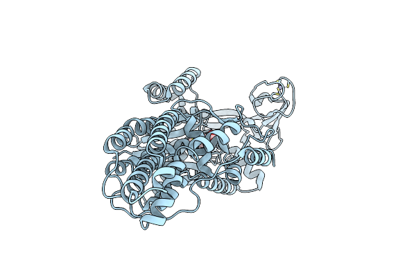 1F4L image