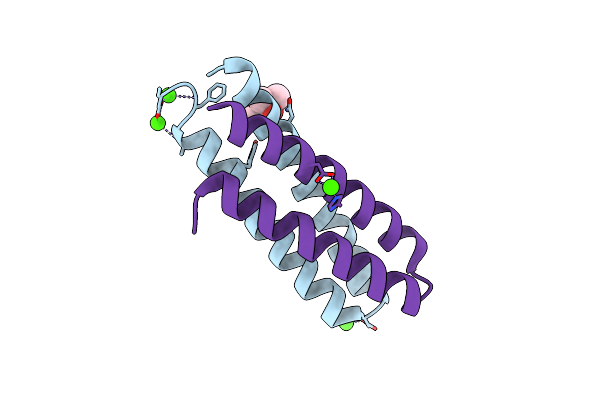 1F4N image