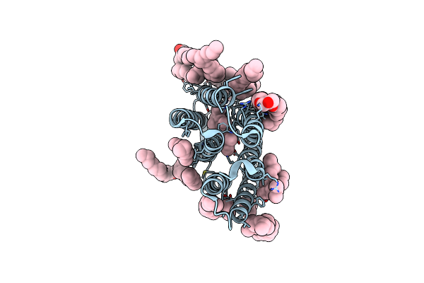 1F4Z image