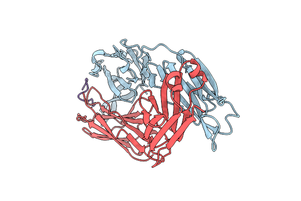 1F58 image