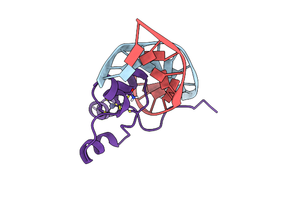 1F5E image