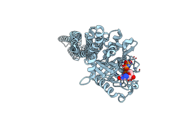 1F5N image