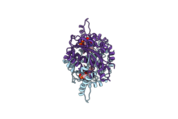 1F5V image