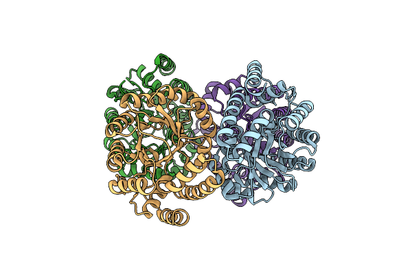 1F5Z image