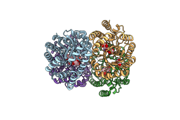 1F73 image