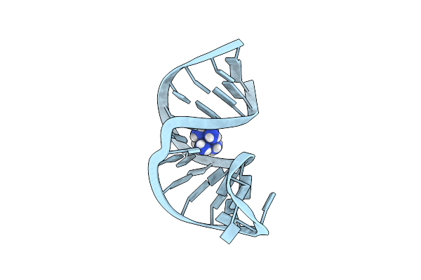 1F79 image