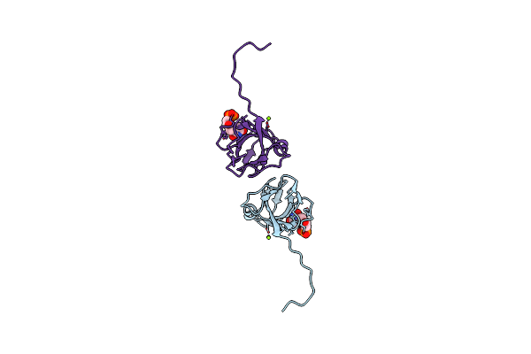 1F7N image