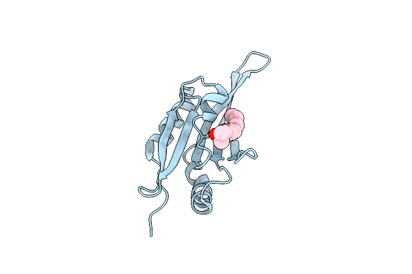 1F7S image