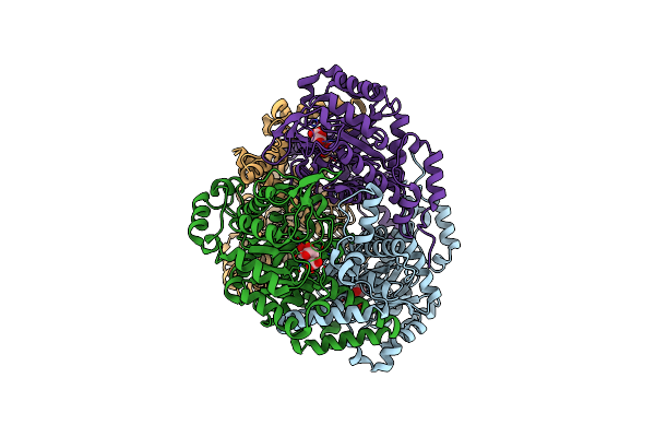 1F8I image