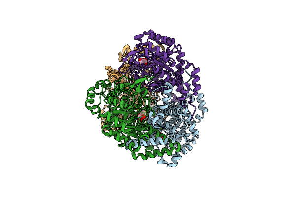 1F8M image