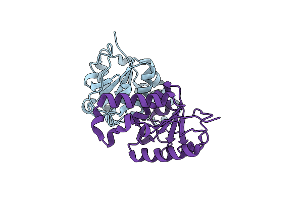 1F8X image