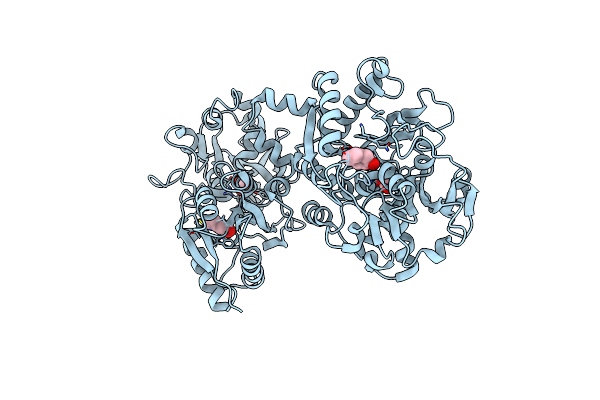 1F9B image