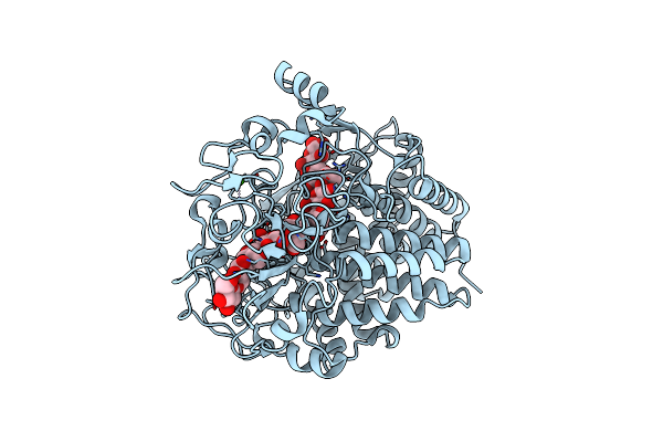 1F9D image