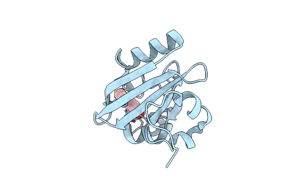 1F9I image