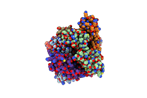 1F9N image