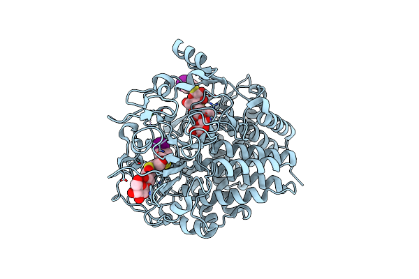 1F9O image