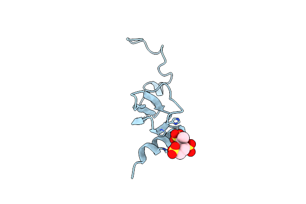 1F9P image